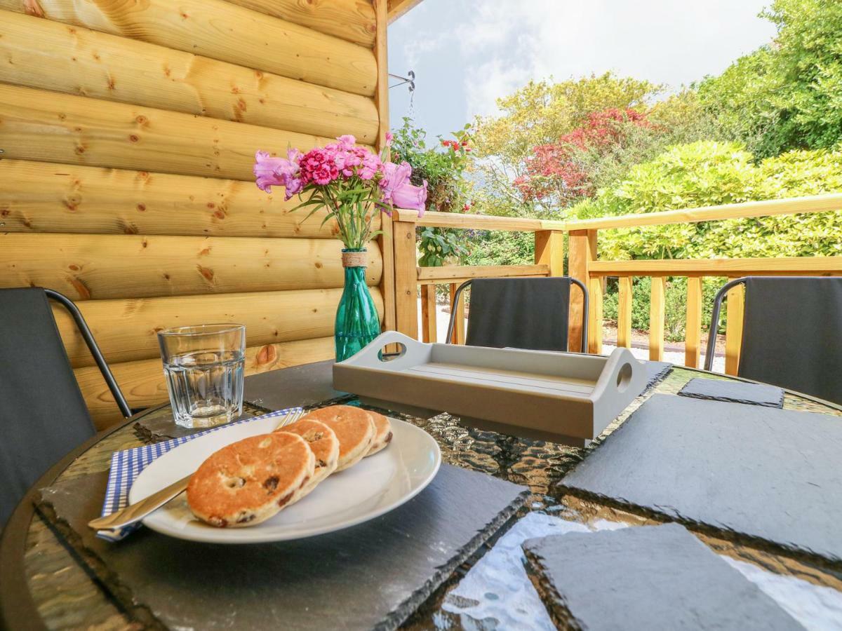 Willow Lodge Тенби Экстерьер фото
